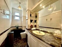 Raffles Park (D11), Detached #491427141